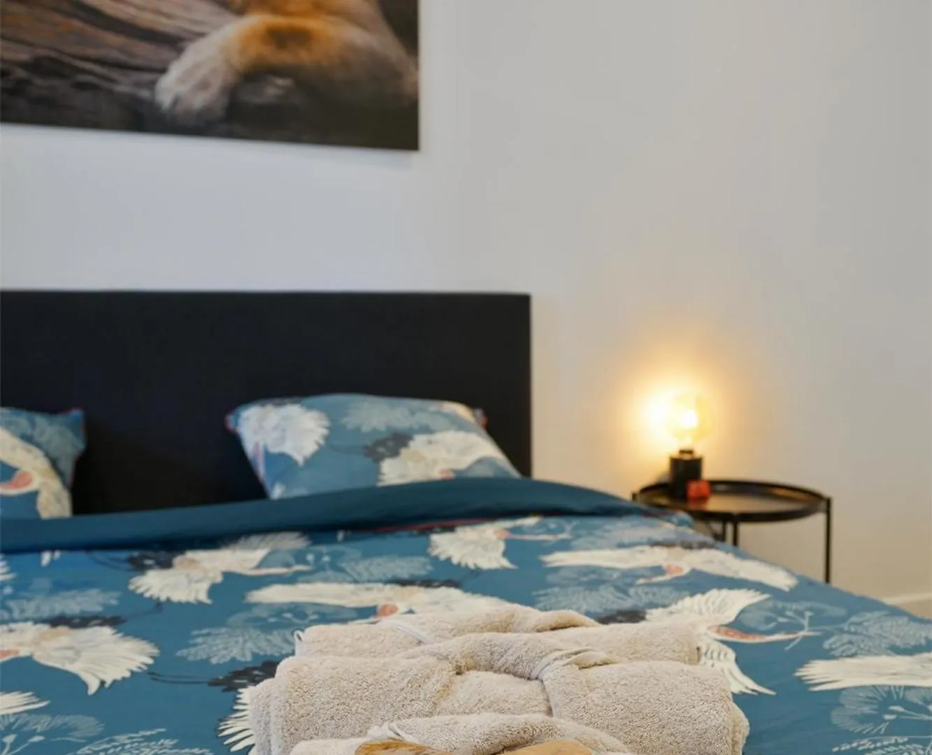 Apartment Classy Parkview Flat Antwerp Belgium